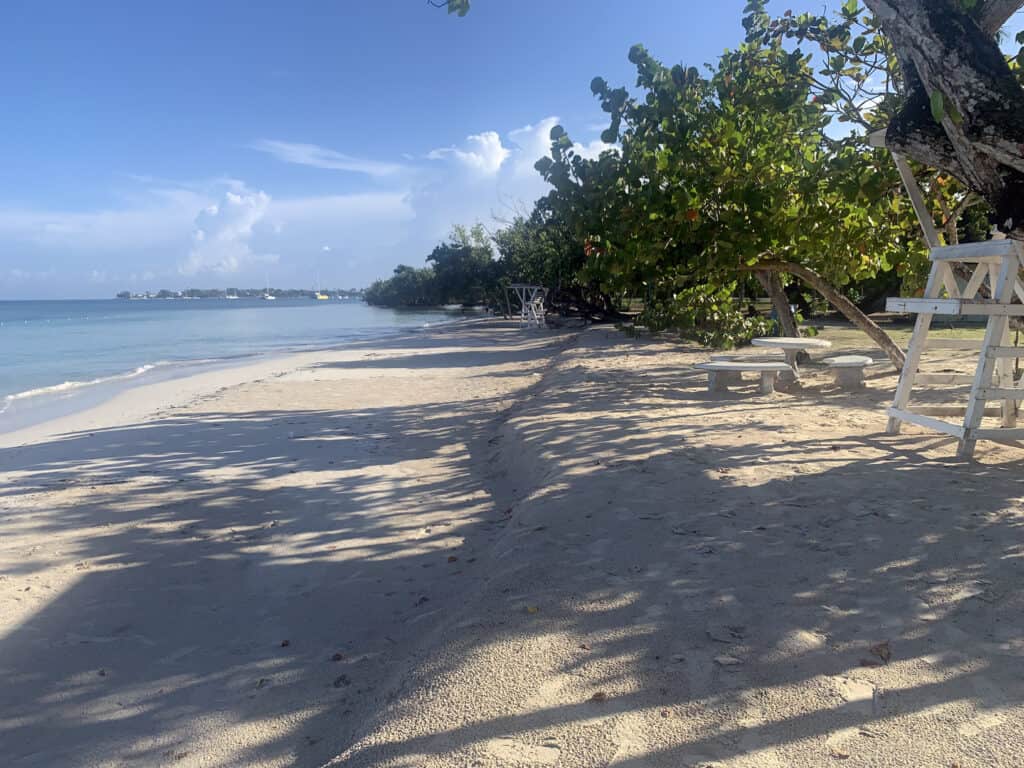 Long Bay Beach Park with shaded benches, palm trees, and calm blue sea under a bright, clear sky.