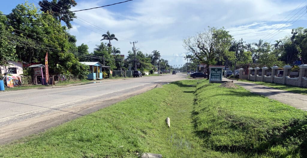 Sunny street in rural Negril Jamaica with green grass and houses on both sides, perfect for local business listings.